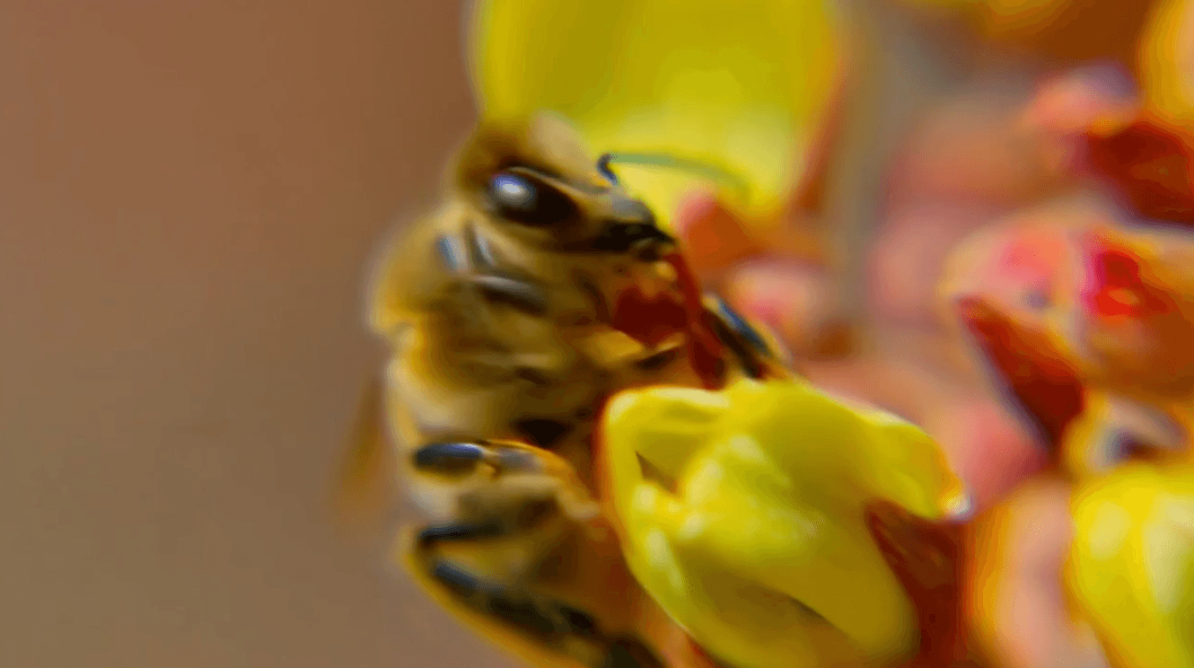 AI Video Generator for Non-Profit Awareness Campaigns