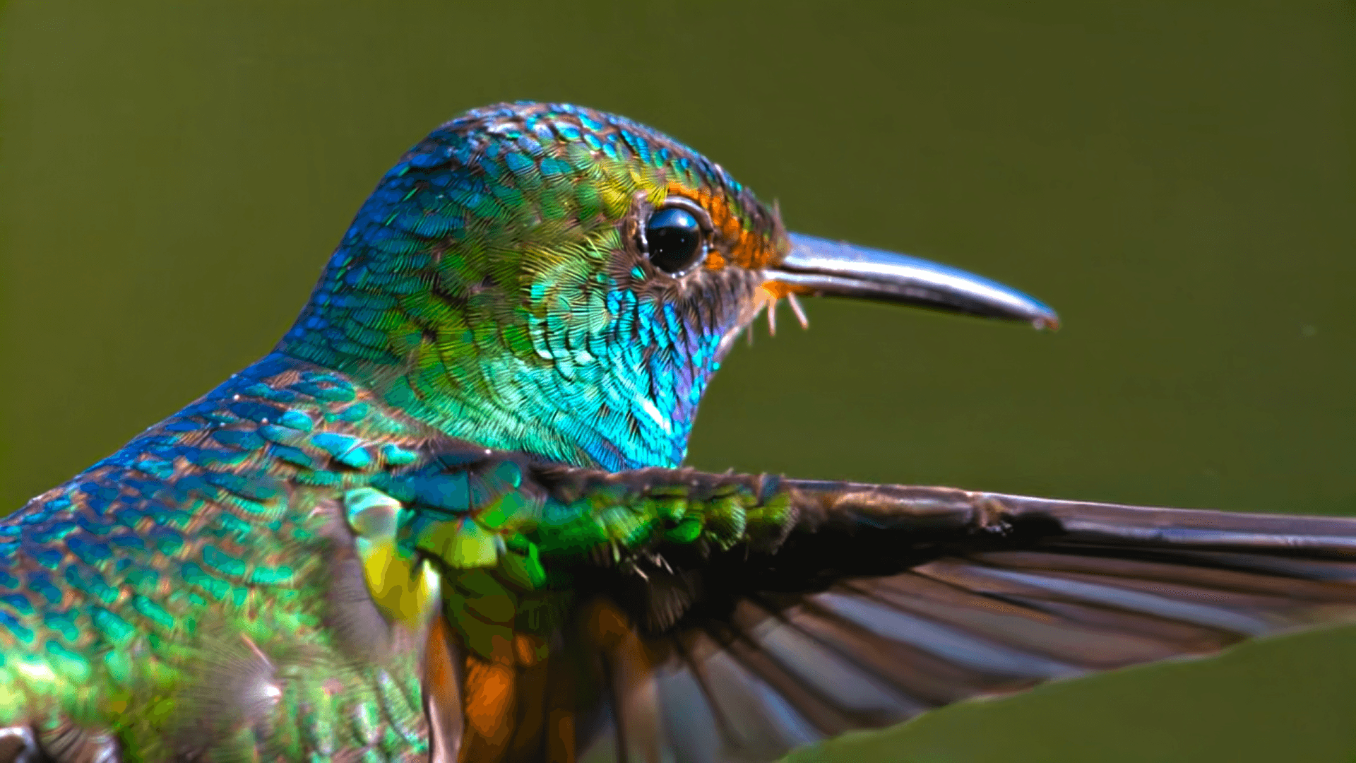 Ray3 Evaluation Report – State-of-the-Art Performance for Pro Video Generation